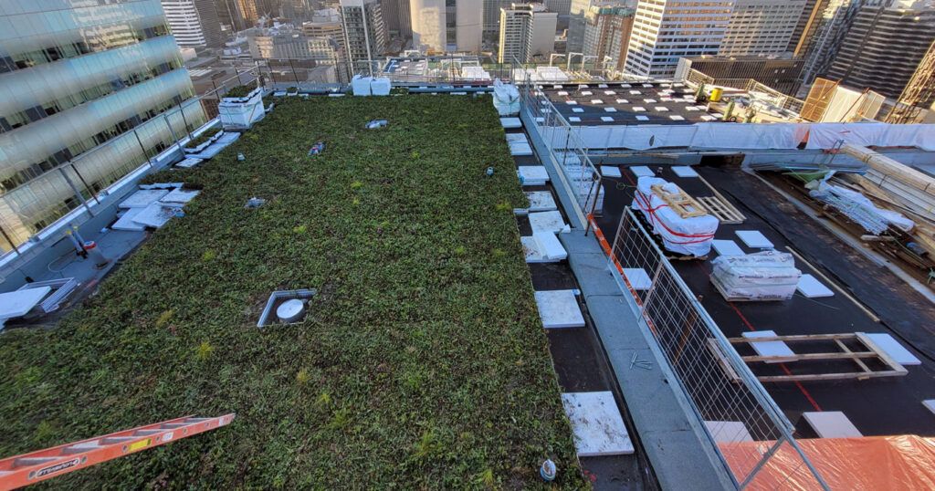 Sickkids Patient Support Centre Roofing, Waterproofing, and green roof Project of Triumph Group of Companies